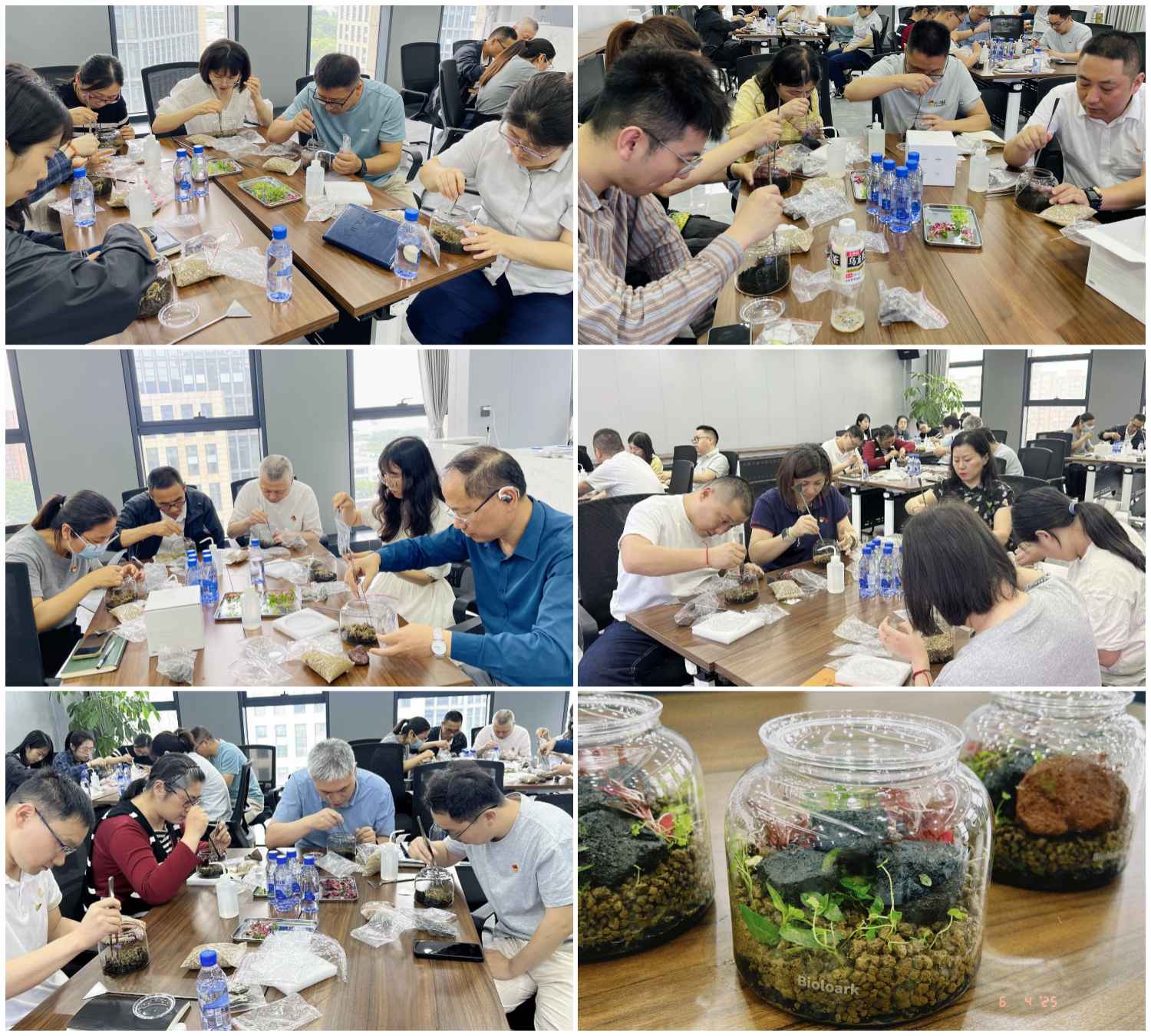 1749112543861548.jpg 2.jpg